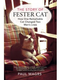 The Story Of Fester Cat