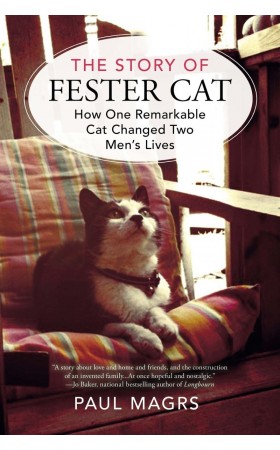 The Story Of Fester Cat