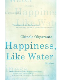 Happiness, Like Water : Stories