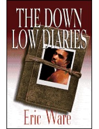 Down Low Diaries