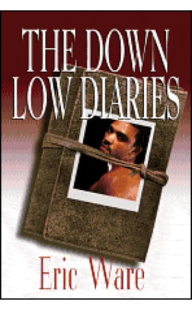 Down Low Diaries