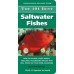 101 Best Saltwater Fishes