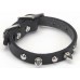 1703Sk Mini Spike Collar