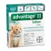 Advantage Ii Kitten