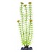 Ambulia Green Plant Xlarge