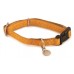 Bark Avenue 1andquot; Collar