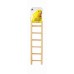 Birdie Basic 7 Step Ladder
