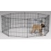 Black Exercise Pen