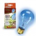 Bulb Day Blue Inc 50W Boxed