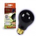 Bulb Night Black Inc 50W Boxed