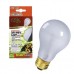 Day White Light Incandescent Bulb Boxed