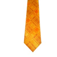 levi gardin yellow tie