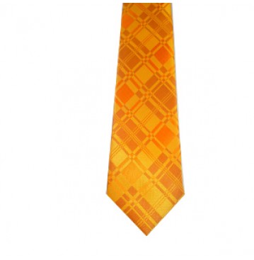 levi gardin yellow tie