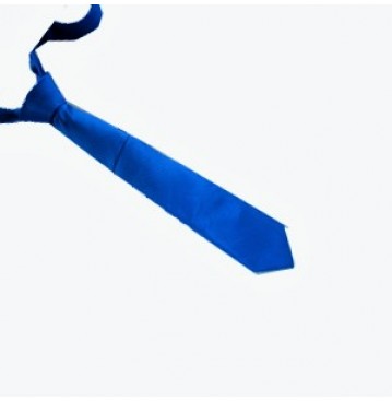 cortiagani milan blue necktie