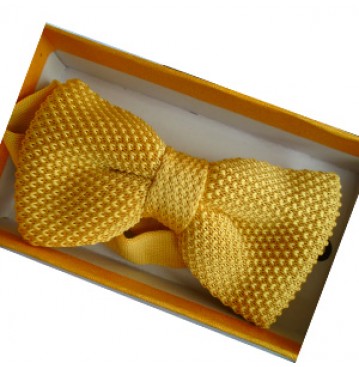 segrato yellow bow tie