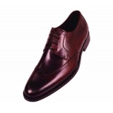 Steven Land SL7184 Brown Genuine Leather Wingtip Oxford