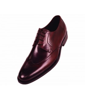 Steven Land SL7184 Brown Genuine Leather Wingtip Oxford