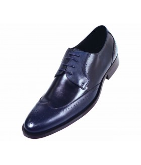 Steven Land SL7184 Navy Blue Wingtip in Genuine Leather