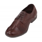 Viotti Style Wagner Brown Lace Up Oxford